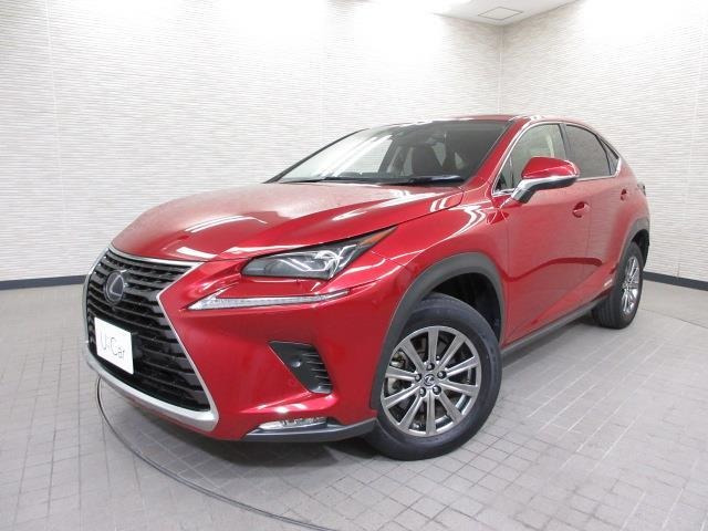 NX 300h Iパッケージ 