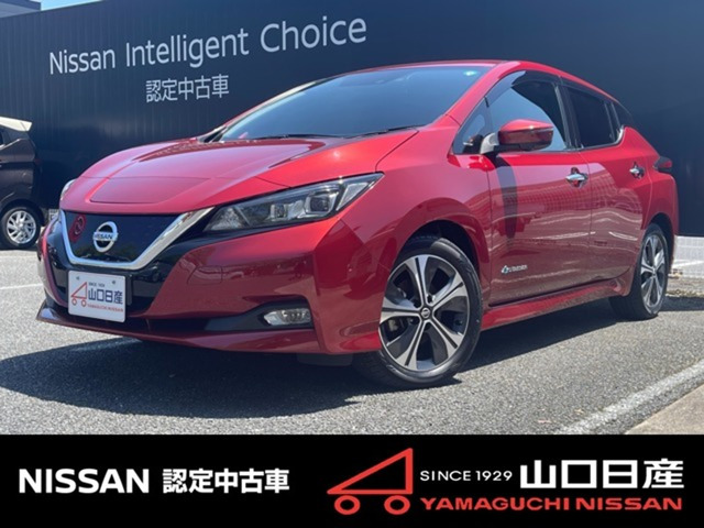 リーフ G 