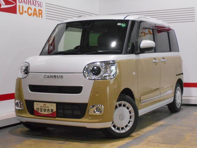 ムーヴキャンバス  ストライプス G