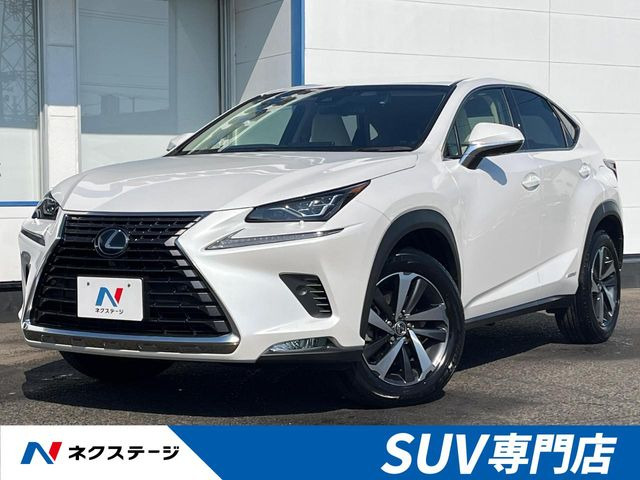 NX 300h バージョンL 
