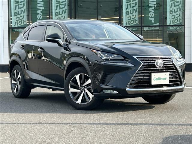 NX 300h バージョンL 本革シート サンルーフ