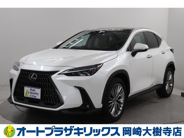NX 250 バージョンL NX 250 バージョンL