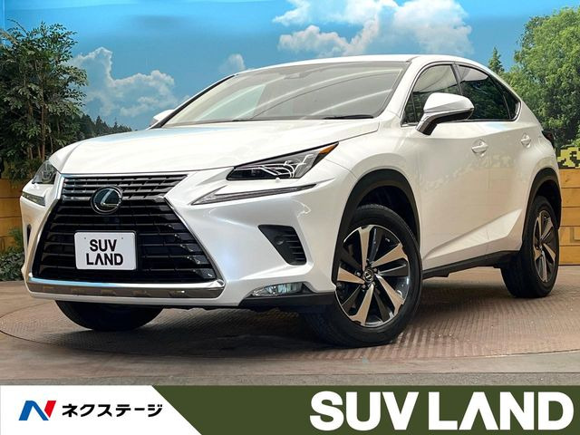 NX 200t Iパッケージ 