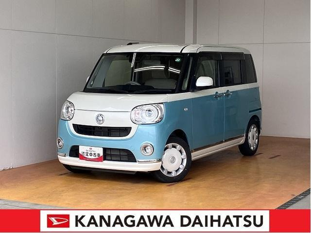 ムーヴキャンバス G メイクアップ リミテッド SAIII 