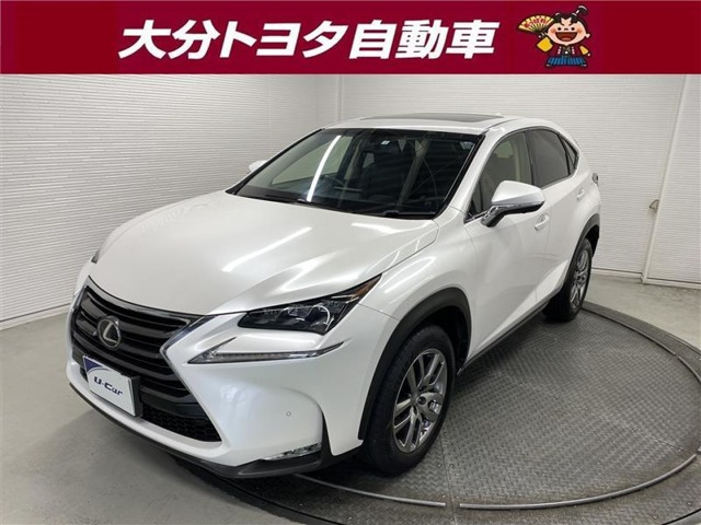 NX 200t Iパッケージ 