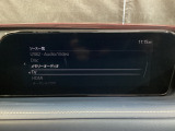 メーカーオプションTVチューナー付!