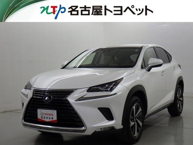 NX 300 Iパッケージ 