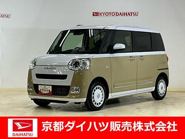 ムーヴキャンバス  ストライプス G