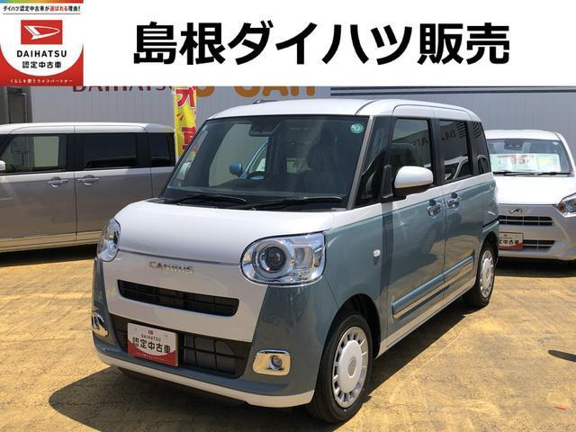 ムーヴキャンバス  ストライプス G