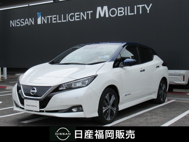 リーフ G 