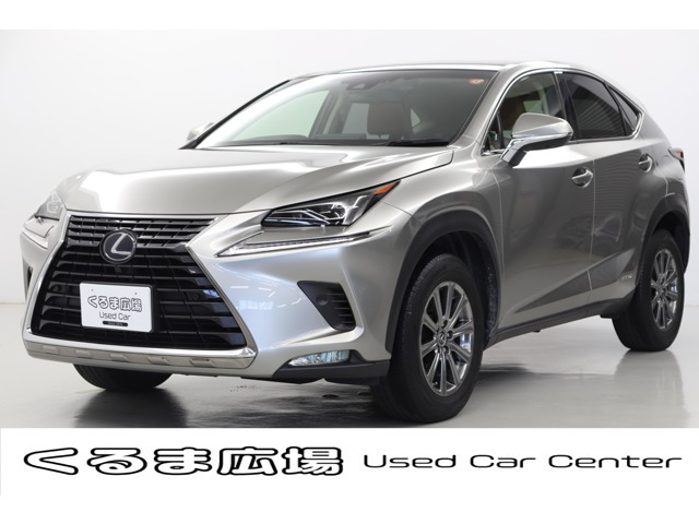 NX 300h Iパッケージ 
