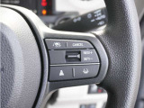 【アダプティブクルーズコントロール】予め設定した車速内でクルマが自動的に加減速。前走車との適切な車間距離を維持しながら追従走行します。【LKAS】車線維持支援システムでステアリング操作を支援。