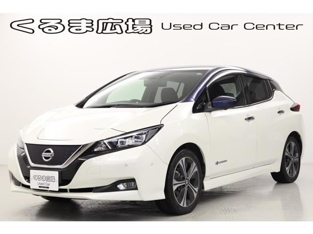 リーフ G 