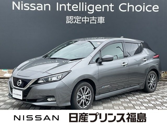 リーフ X 