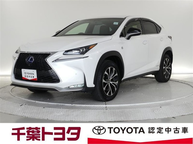 NX 300h Fスポーツ 