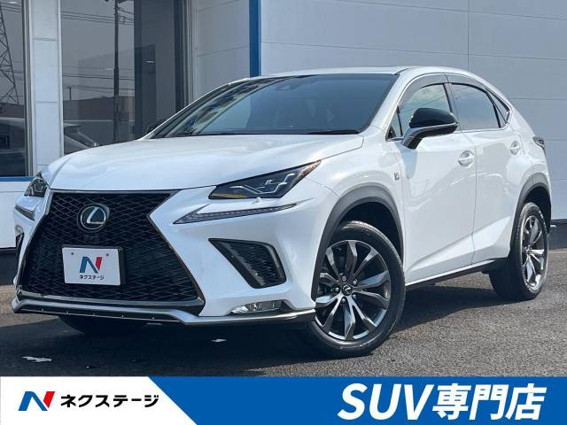 NX 300 Fスポーツ 
