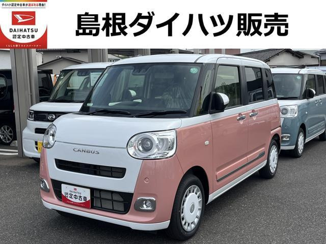ムーヴキャンバス  ストライプス G