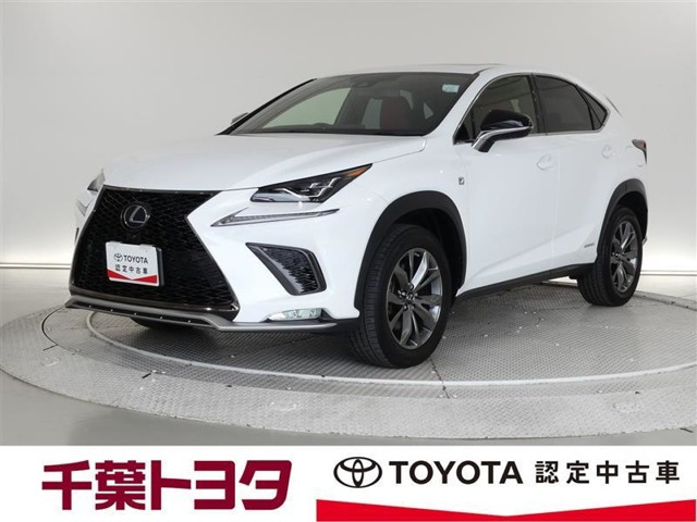 NX 300h Fスポーツ 