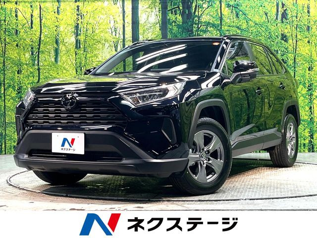 RAV4 2.0 X 