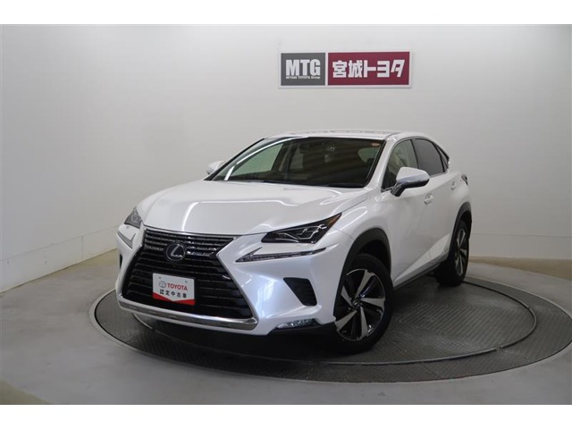 NX 300h Iパッケージ 