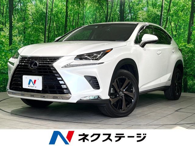 NX 300h バージョンL 