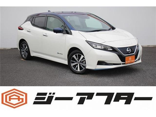 リーフ e+ X OP2トーン9型ナビ360°カメラTVプロパイETC
