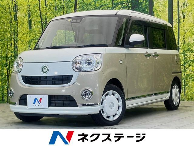 ムーヴキャンバス G メイクアップ リミテッド SAIII 