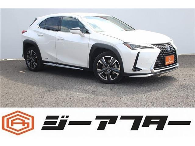 UX 250h ガーニッシュOP18AW1オーナー衝突軽減ETC