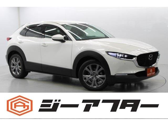 CX-30 2.0 20S プロアクティブ 純正ナビ地デジ電動RゲートアダプティブLED