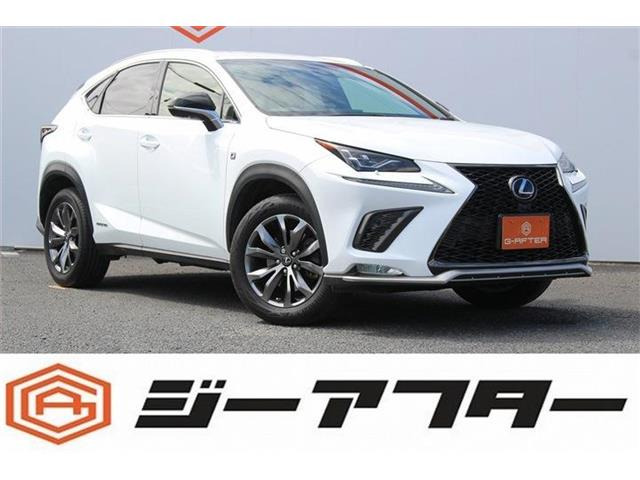 NX 300h Fスポーツ OP3眼LED黒革エアシートナビ360電動ゲート