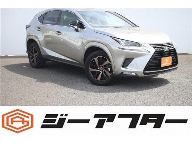 NX 300 ブロンズ エディション 特別仕様車ナビTV黒革3眼LED電動Rゲート
