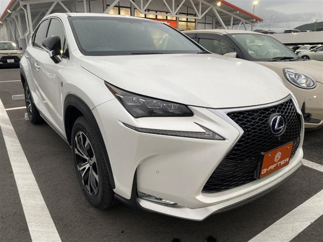 NX 300h Fスポーツ 黒革3眼LED電動Rゲート360°カメラOP18AW