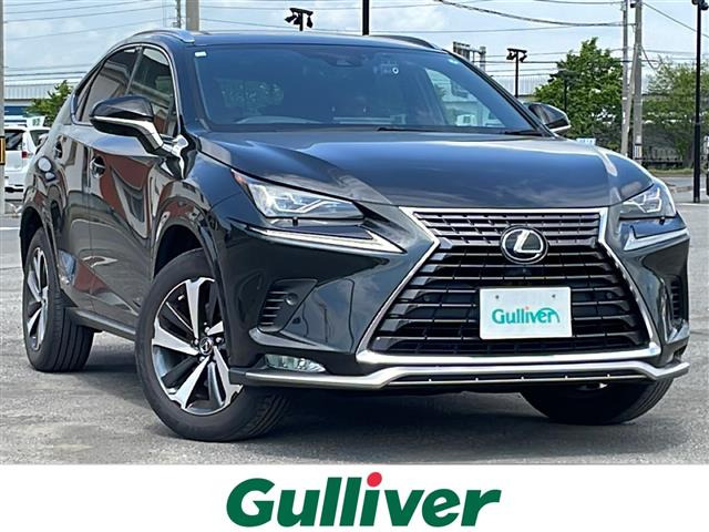 NX 300h スパイス&シック 4WD 本革シート