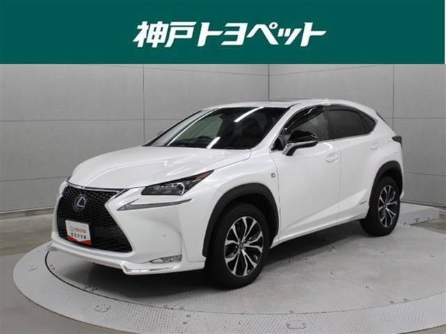 NX 300h Fスポーツ 