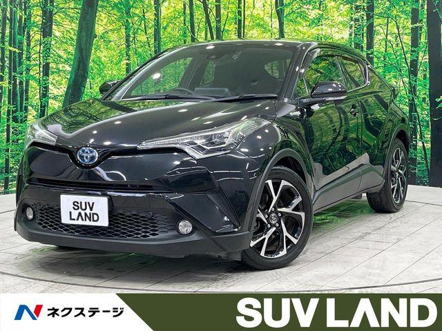 C-HR  G