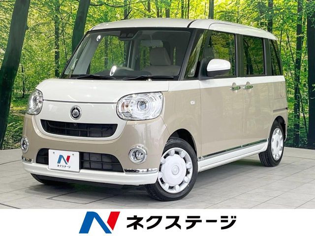 ムーヴキャンバス G メイクアップ リミテッド SAIII 