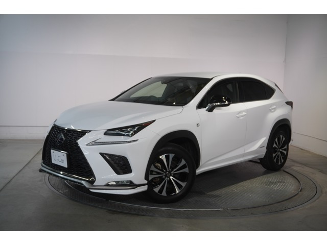 NX 300h Fスポーツ 