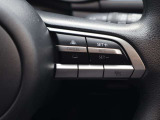 ミリ波レーダーで先行車との速度差や車間距離を認識。設定した車速内での車間距離を自動で調整・維持して、アクセル・ブレーキの操作なしで長距離ドライブの負担も軽減してくれます。