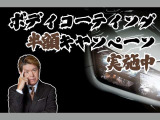 メガーヌ スポール トロフィー EDC