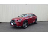 NX 300h 