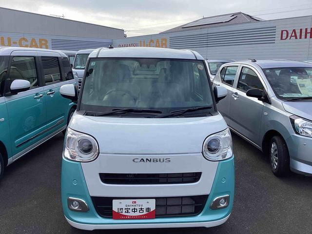 ムーヴキャンバス  ストライプス G