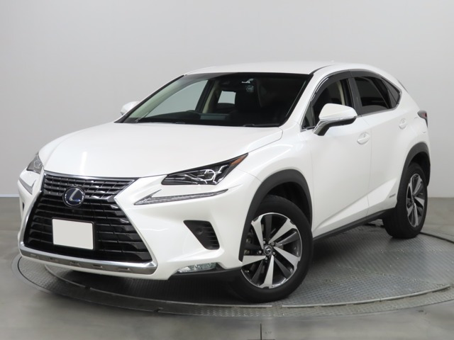 NX 300h Iパッケージ 