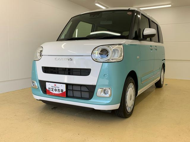 ムーヴキャンバス  ストライプス G