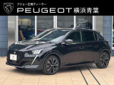 e-208 GT 