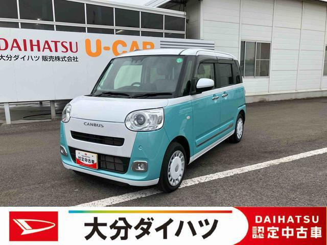 ムーヴキャンバス  ストライプス G