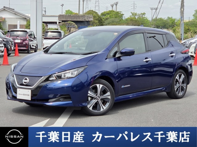 リーフ  X Vセレクション
