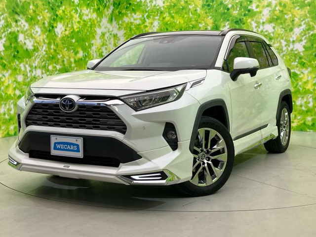 RAV4 2.0 G Zパッケージ 4WD 