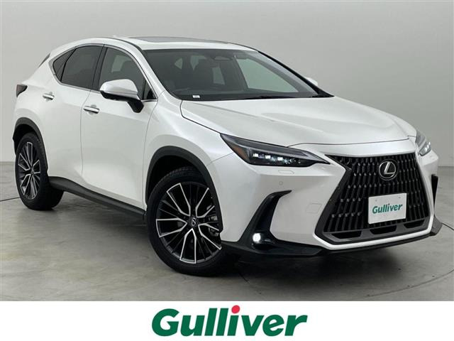 NX 350h バージョンL 本革シート サンルーフ