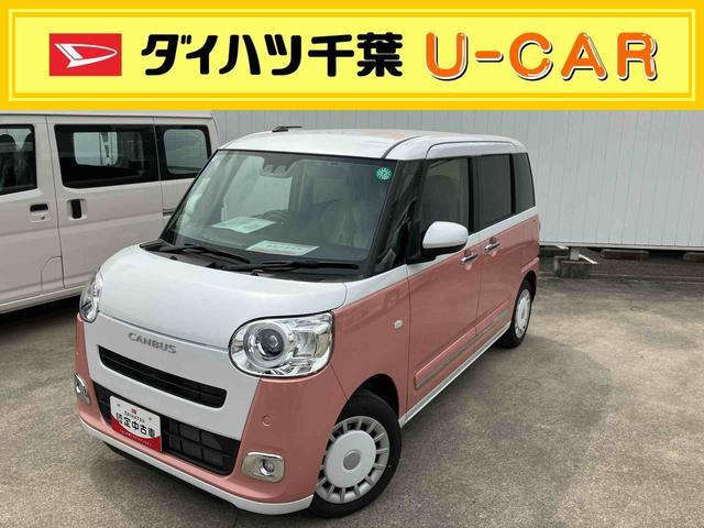 ムーヴキャンバス  ストライプス G