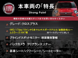 500X  クロス プラス